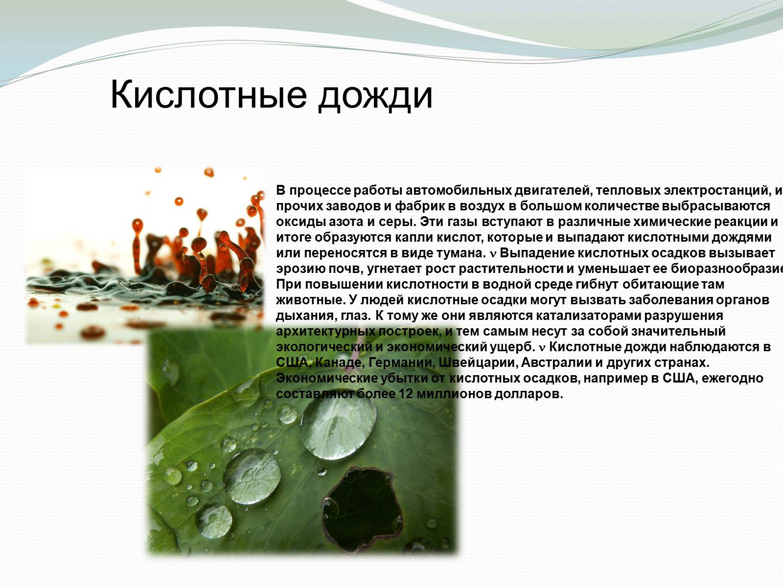 Презентація на тему «Экологические проблемы и их решение» - Слайд #6 Презентація на тему «Экологические проблемы и их решение» - Слайд #6