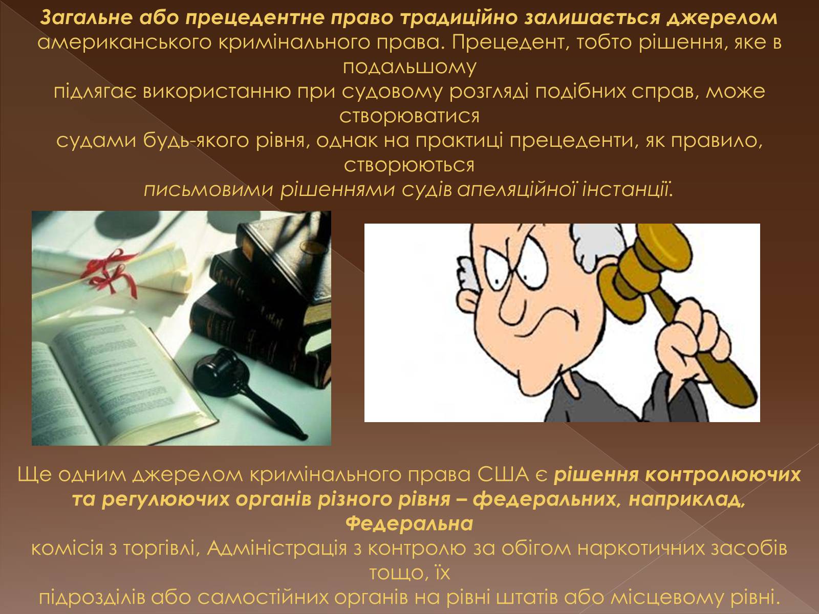 Презентація на тему «Кримінальне право у різних країнах світу» - Слайд #13 Презентація на тему «Кримінальне право у різних країнах світу» - Слайд #13