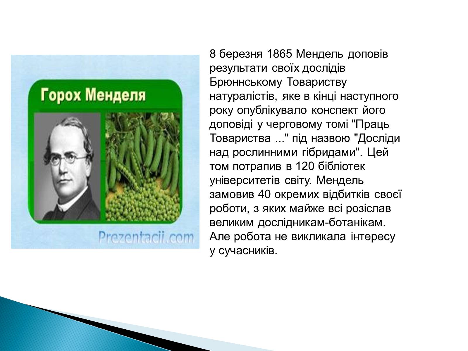 Презентація на тему «Мендель Грегор Йоганн» - Слайд #7 Презентація на тему «Мендель Грегор Йоганн» - Слайд #7