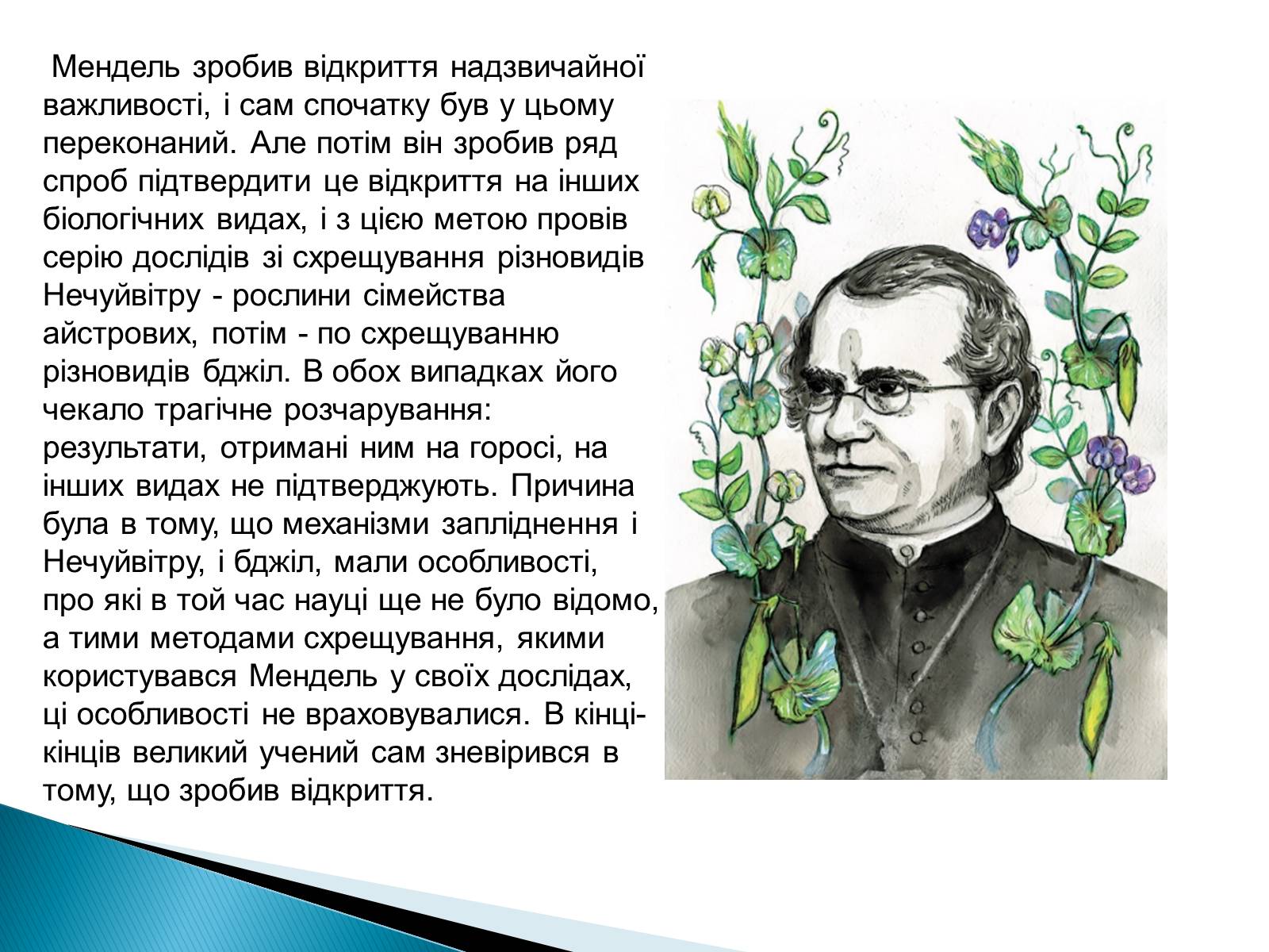 Презентація на тему «Мендель Грегор Йоганн» - Слайд #8 Презентація на тему «Мендель Грегор Йоганн» - Слайд #8