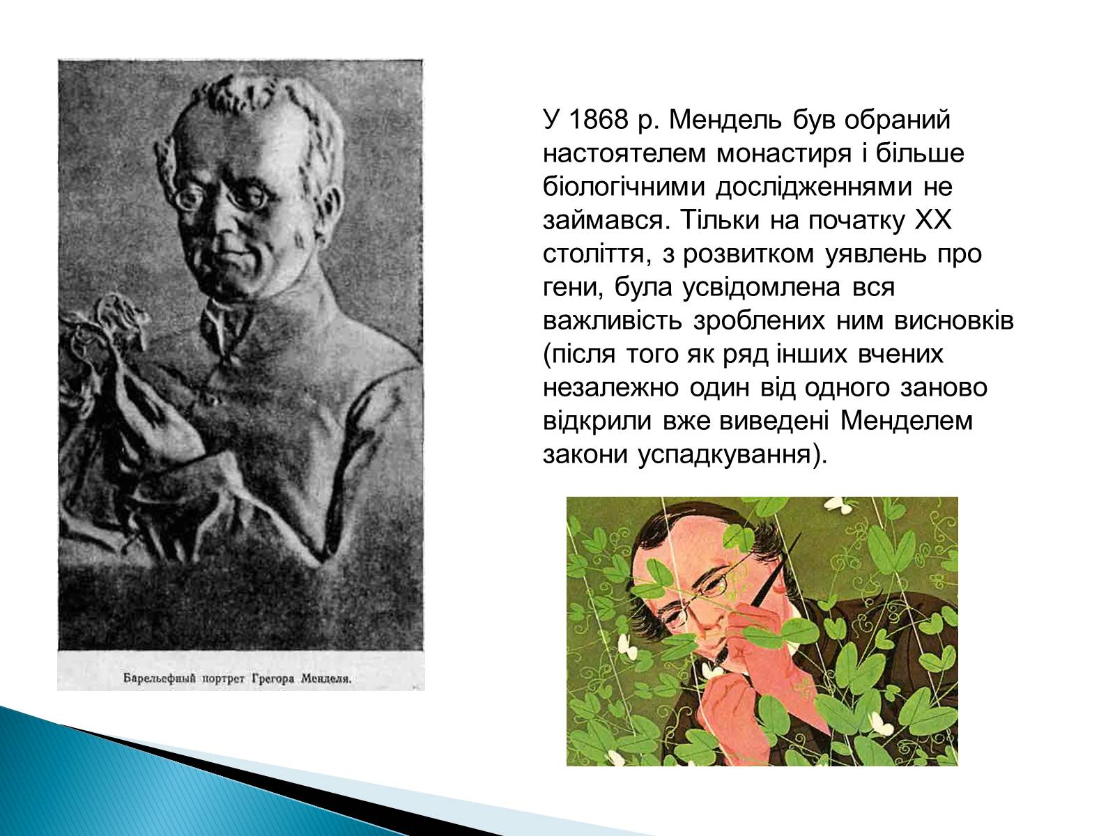 Презентація на тему «Мендель Грегор Йоганн» - Слайд #9 Презентація на тему «Мендель Грегор Йоганн» - Слайд #9