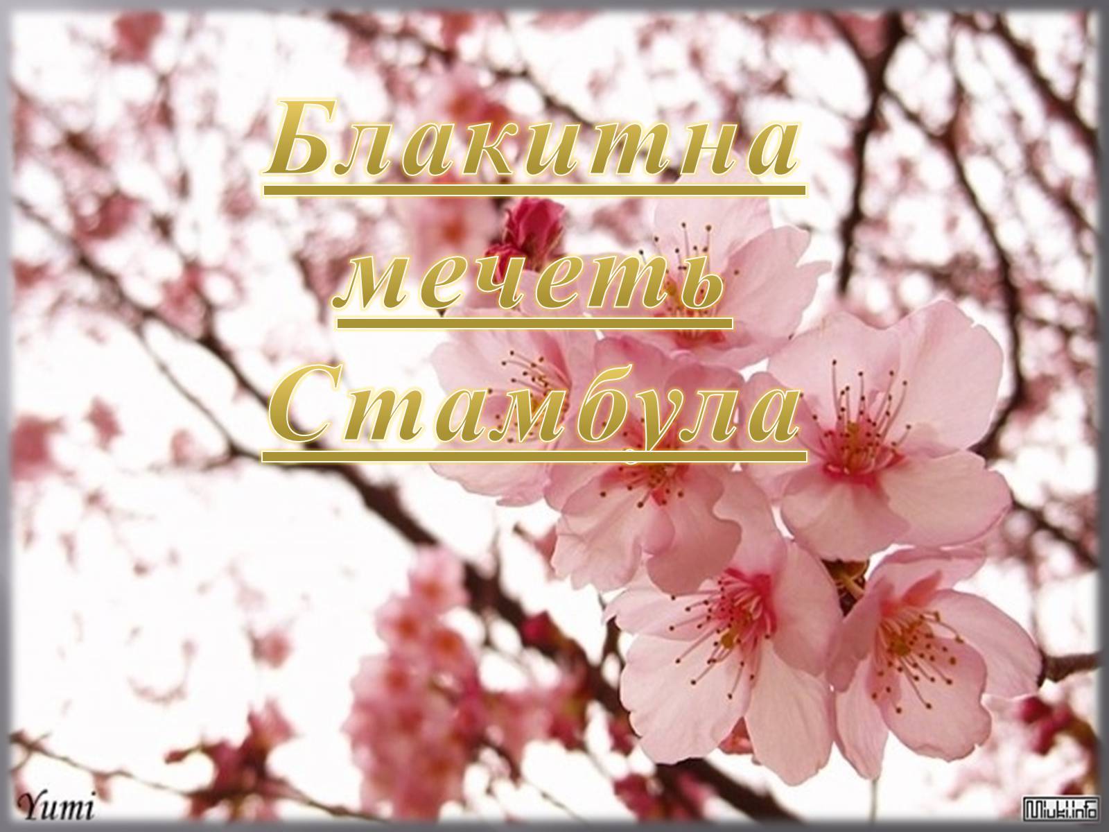 Презентація на тему «Блакитна мечеть Стамбула» - Слайд #1 Презентація на тему «Блакитна мечеть Стамбула» - Слайд #1