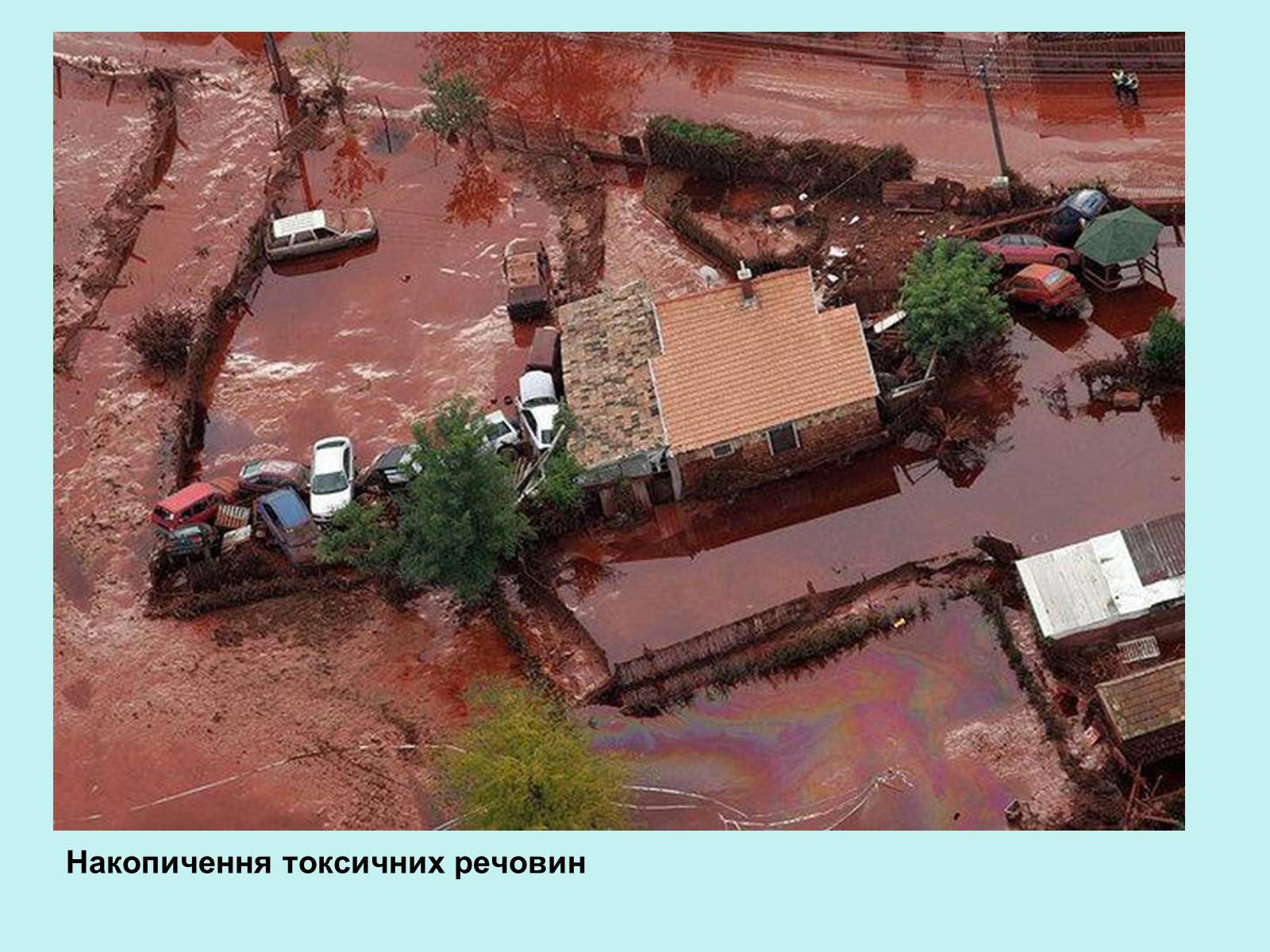 Презентація на тему «Деградація природи» (варіант 1) - Слайд #11 Презентація на тему «Деградація природи» (варіант 1) - Слайд #11
