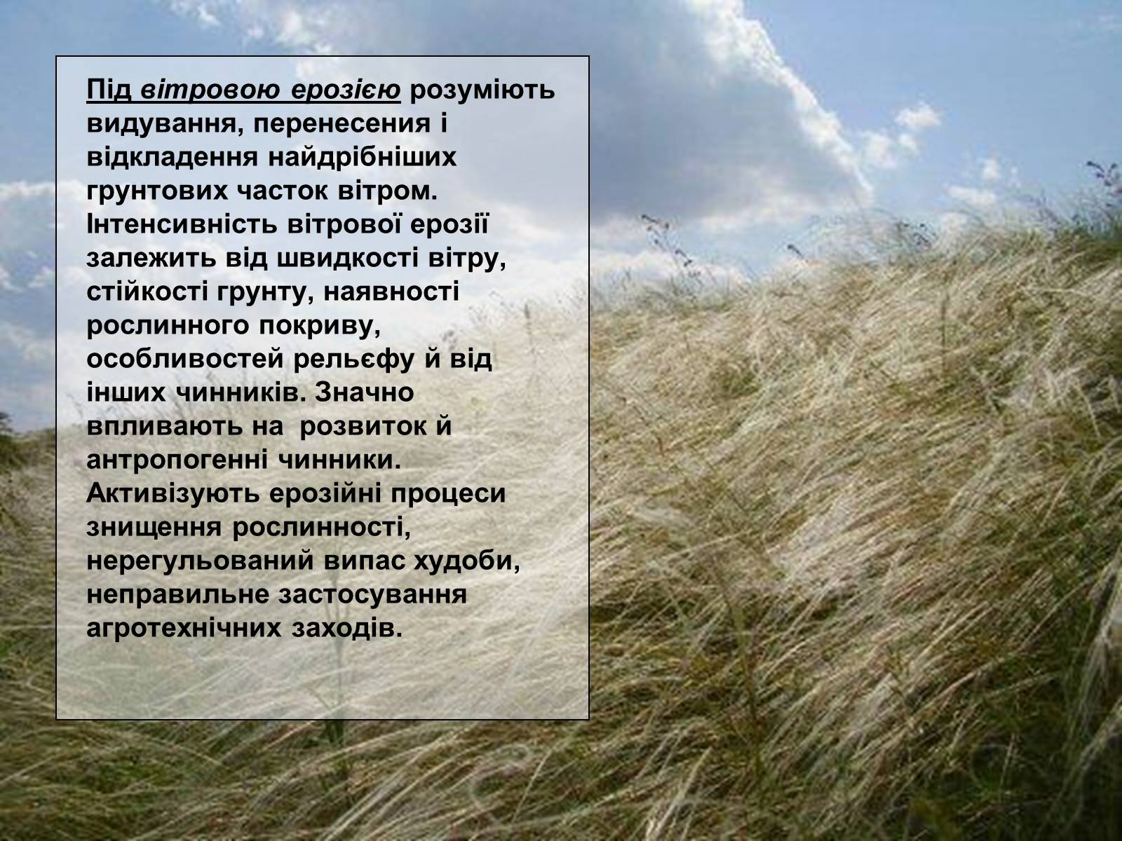 Презентація на тему «Деградація природи» (варіант 1) - Слайд #14 Презентація на тему «Деградація природи» (варіант 1) - Слайд #14