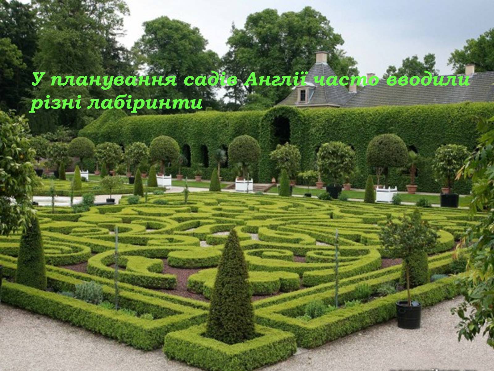 Презентація на тему «Паркова культура» (варіант 2) - Слайд #11 Презентація на тему «Паркова культура» (варіант 2) - Слайд #11