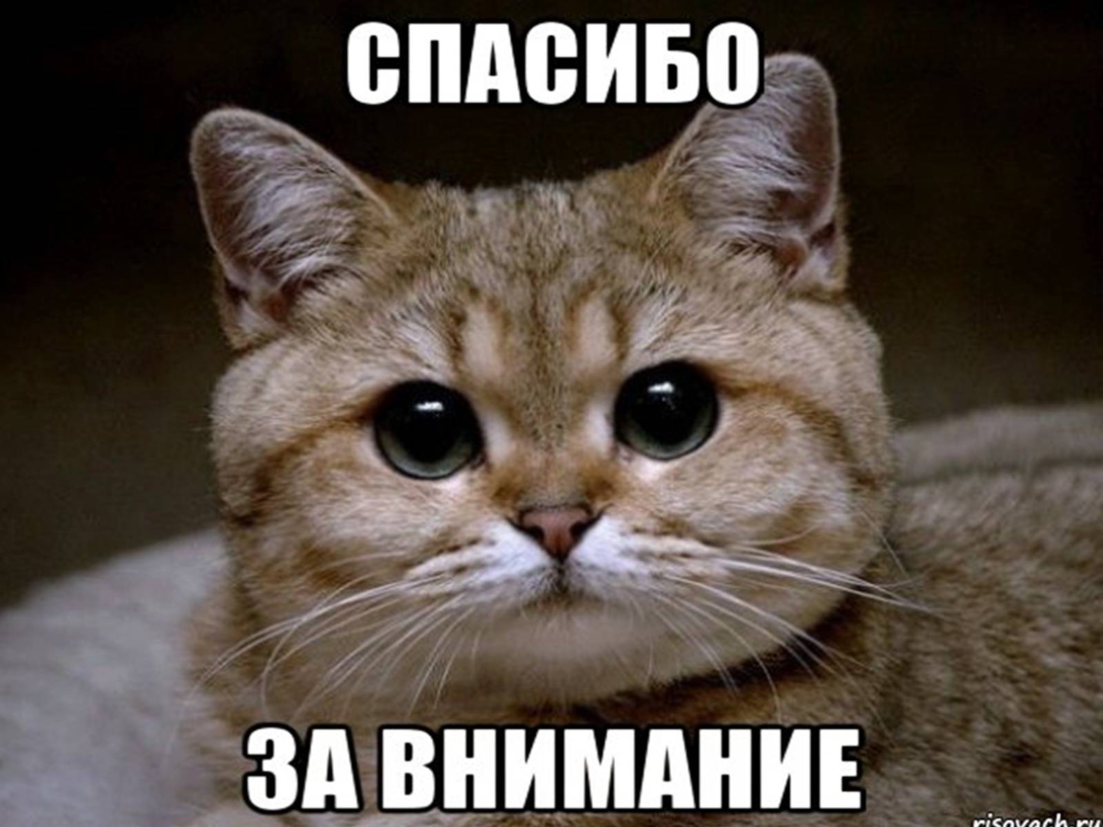 Презентація на тему «Антропогенный ландшафт» - Слайд #55 Презентація на тему «Антропогенный ландшафт» - Слайд #55